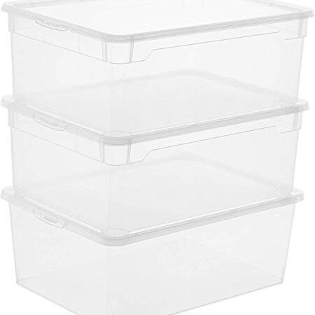 Rotho Clear Ensemble de 3 boîtes de rangement 10l avec couvercle, Plastique (PP) sans BPA, transparent, 3 x 10l (36.0 x 26.0 x 14.0 cm)