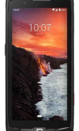 CROSSCALL Core-X4 4/64 Smartphone débloqué 4G+ (Ecran: 5,45 pouces - 64 Go - Double Nano-SIM - Android 10)