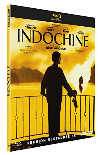 Meilleur indochine en 2024 [Basé sur 50 avis d’experts]