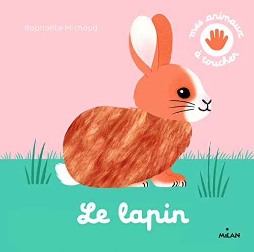 30 Meilleur lapin en 2024 [Basé sur 50 avis d’experts]