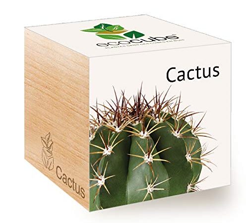 Feel Green Ecocube Cactus Exotics, Idée Cadeau (100% Ecologique), Grow-Your-Own/Kit Prêt-à-Pousser, Plantes Dans Des Cubes En Bois 7.5cm, Produit En Autriche