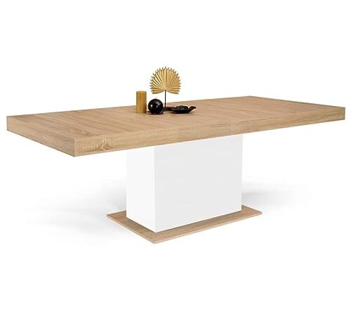 IDMarket - Table à Manger Extensible Eden 6-10 Personnes Bois et Blanc 160-200 cm