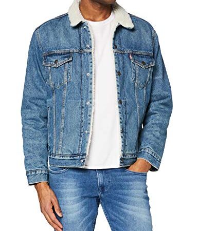 Levi's Type 3 Sherpa Trucker Veste Homme, Fable, L