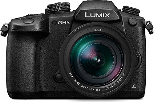 30 Meilleur gh5 en 2024 [Basé sur 50 avis d’experts]