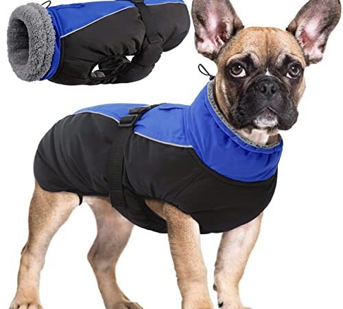 Manteau d'hiver pour Chien, Veste ImperméAble pour Chien, Veste d'hiver Chaude avec Doublure en Polaire, Manteau RéFlecteur Ajustable Et Confortable avec Trou pour Harnais pour Petits Et Moyens Chien