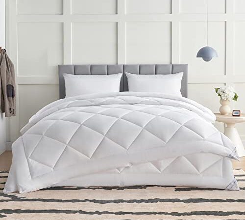 WAVVE Couette 4 Saisons 220x240-3 en 1（150g/m²+ 300g/m²= 450g/m²）, Couette Été Légère + Couette Mi-Saison = Couette Tempérée Chaud Hiver avec Boutons Pression, Facile à Attacher