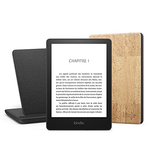 30 Meilleur kindle en 2024 [Basé sur 50 avis d’experts]