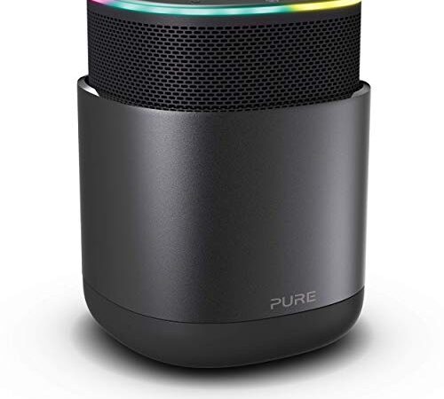 Pure Enceinte Bluetooth DiscovR de avec Alexa intégrée, Multiroom, Charge Rapide, Son à 360 degrés, Autonomie de 15h, Radios Via Internet et Désactivation Physique du Micro, Graphite/Noir